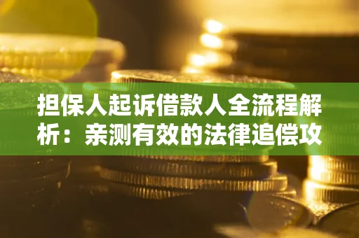 济南担保人起诉借款人全流程解析：亲测有效的法律追偿攻略