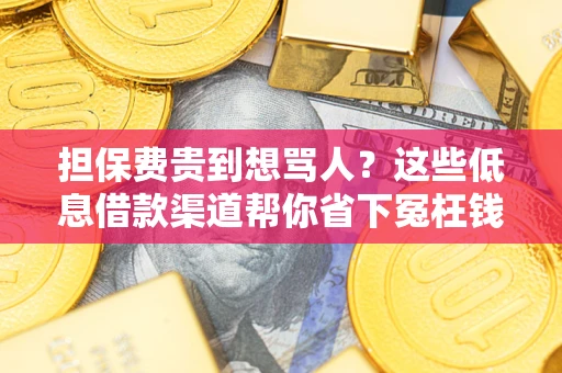 济南担保费贵到想骂人？这些低息借款渠道帮你省下冤枉钱