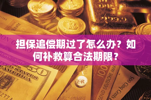 济南担保追偿期过了怎么办？如何补救算合法期限？