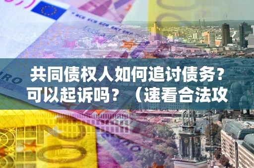 济南共同债权人如何追讨债务？可以起诉吗？（速看合法攻略）